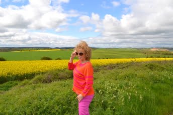 Rapeseed Fields In England