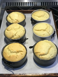 Shortcakes Baked In Mini Springform Pans