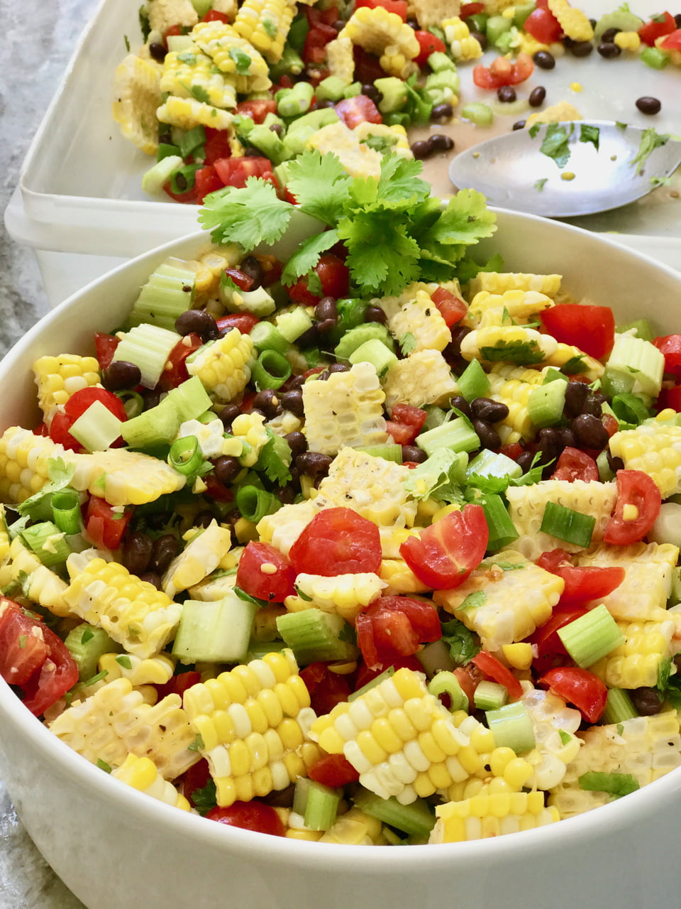 Farm Fresh Summer Corn and Tomato Salad