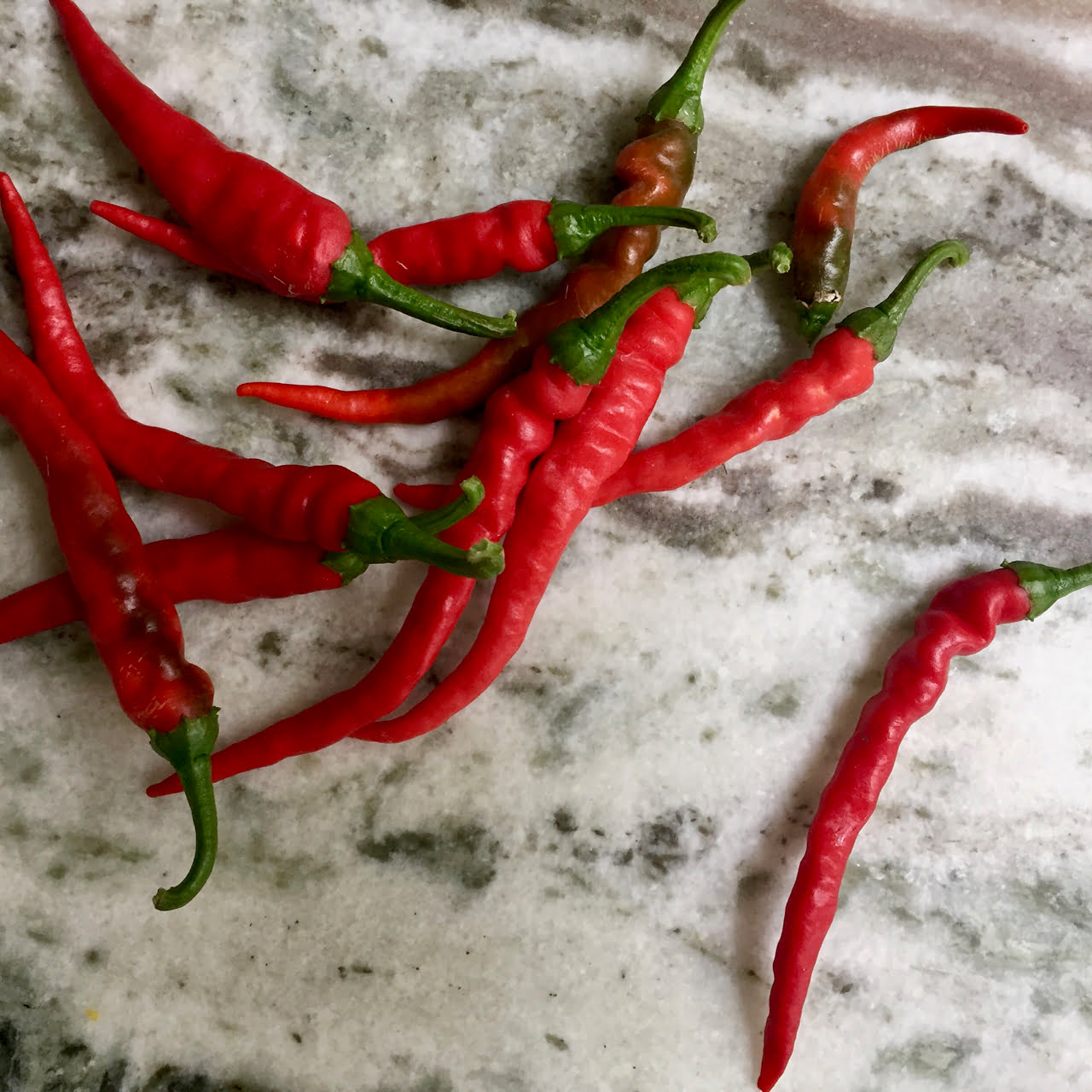 Chili Peppers For Winter Wellness