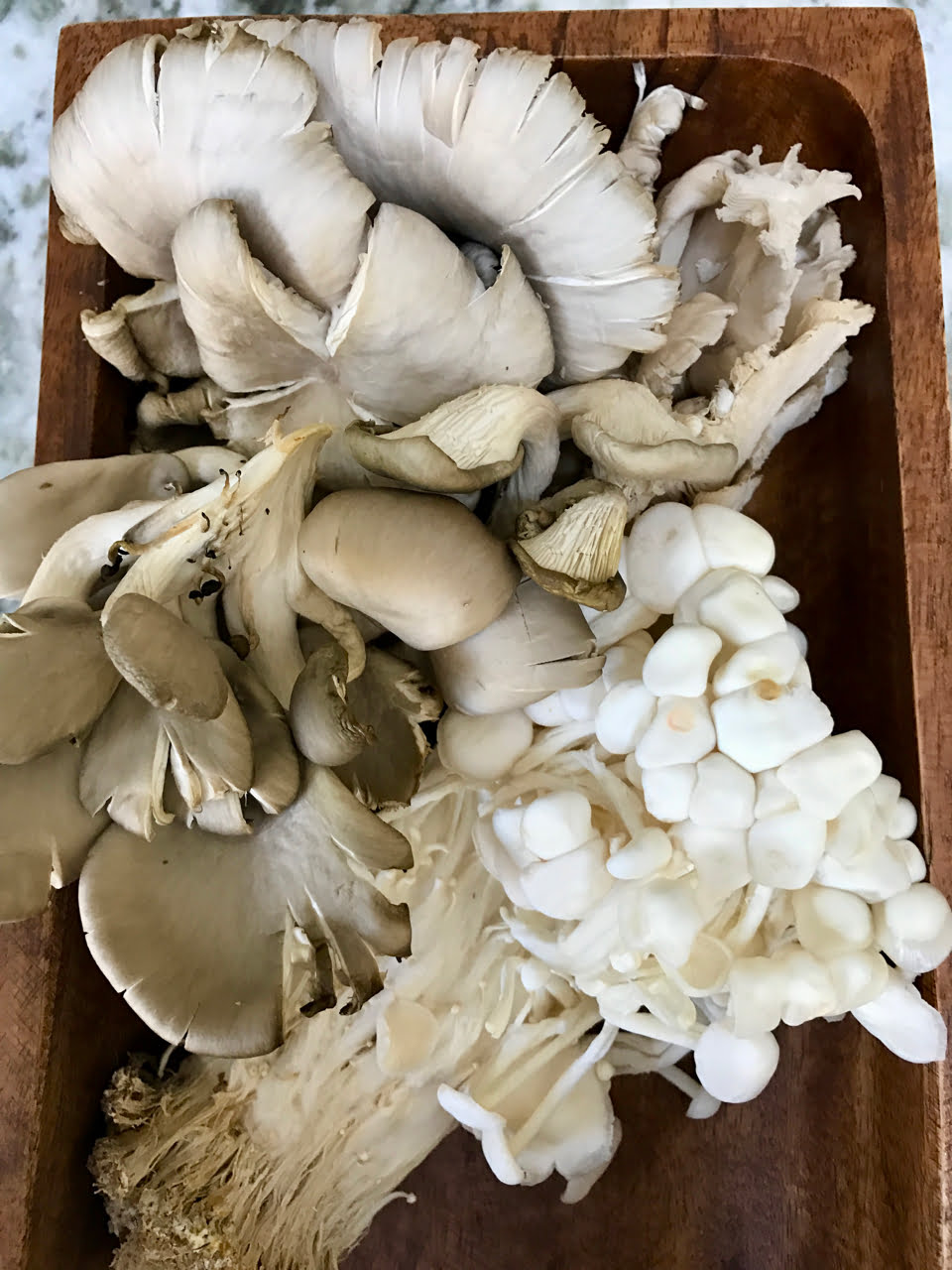 Mushroom Medley