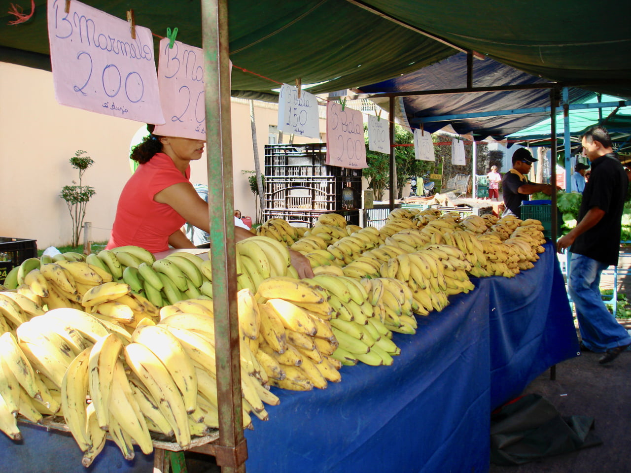 Bananas At A Street Market In Brazil - Feiras