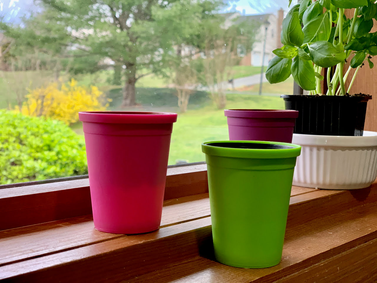 Even tiny pots grow life. 