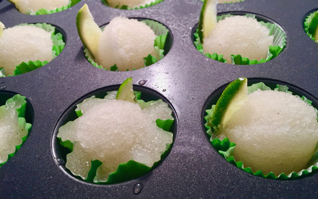 Gin and Tonic Sorbet Shooters