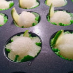 Gin and Tonic Sorbet Shooters