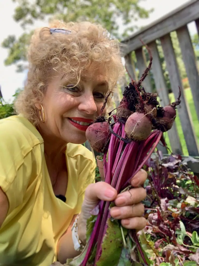 Home Grown Sugar Beets