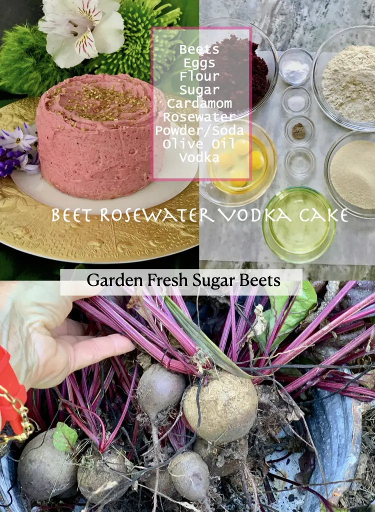 Garden Fresh Sugar Beets For A Delicious Beet Cake Recipe