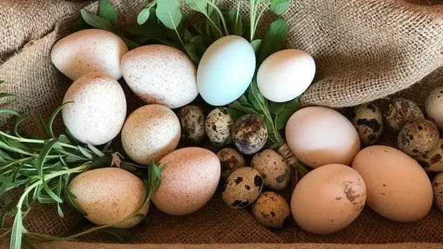 Egg Obsession - Symbolism and Recipes