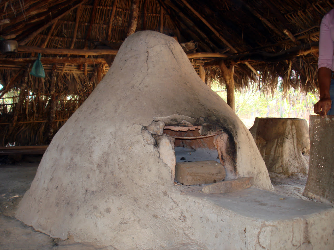Mud ovens for baking bread or drying large bundles of roots. 