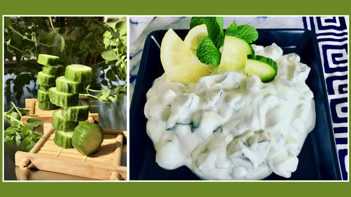 Authentic Greek Cucumber Yogurt Tzatziki Sauce