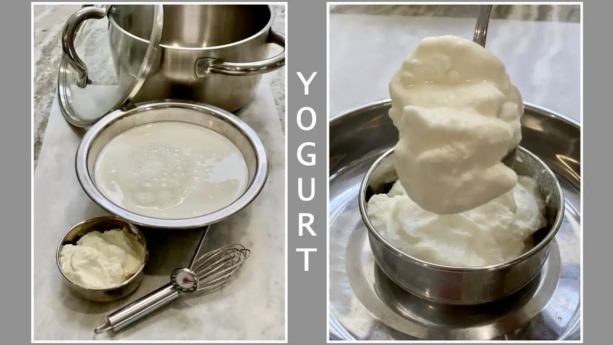 yogurt blogcover.001