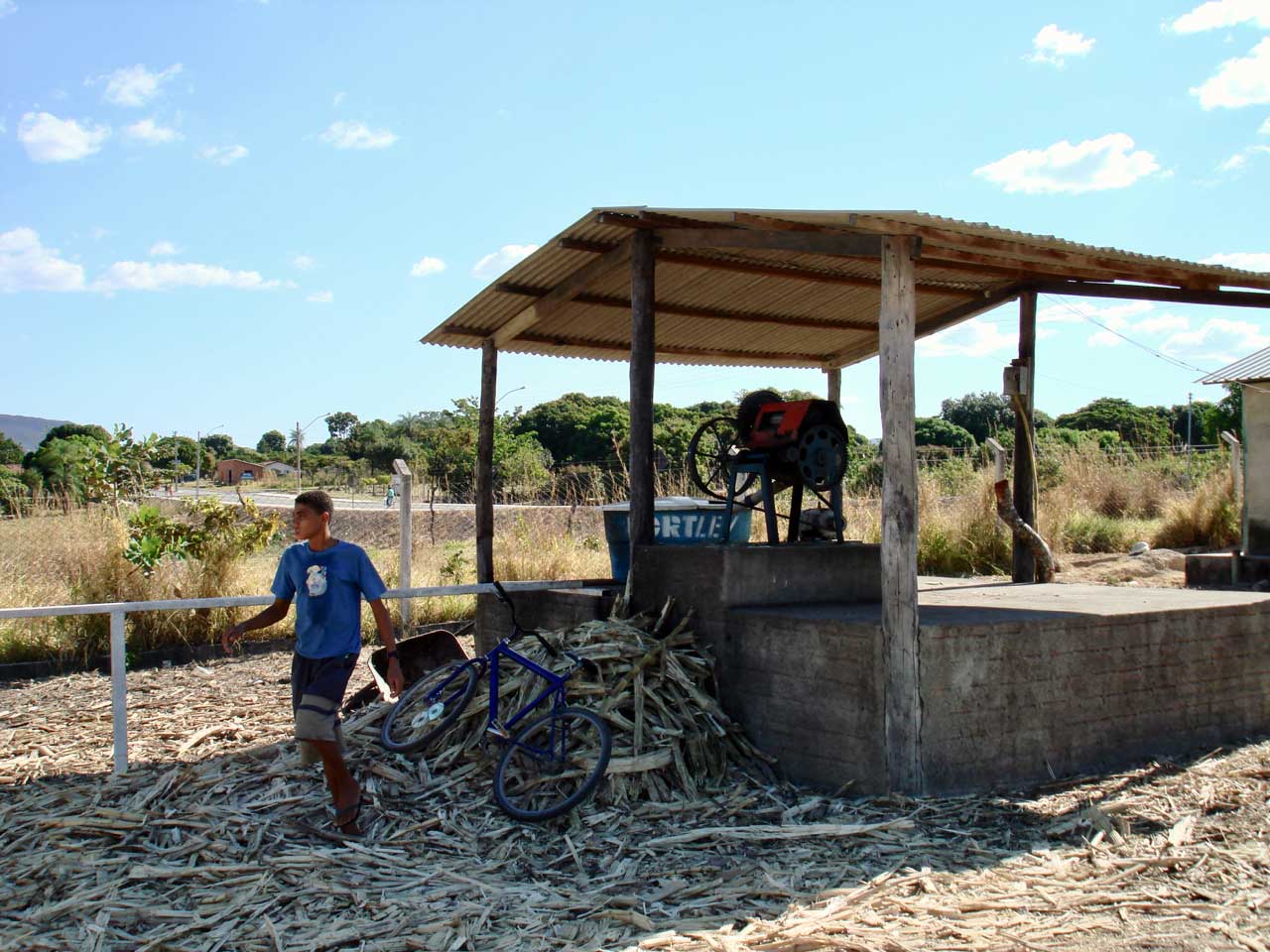 Sugarcane Processing In Brazil