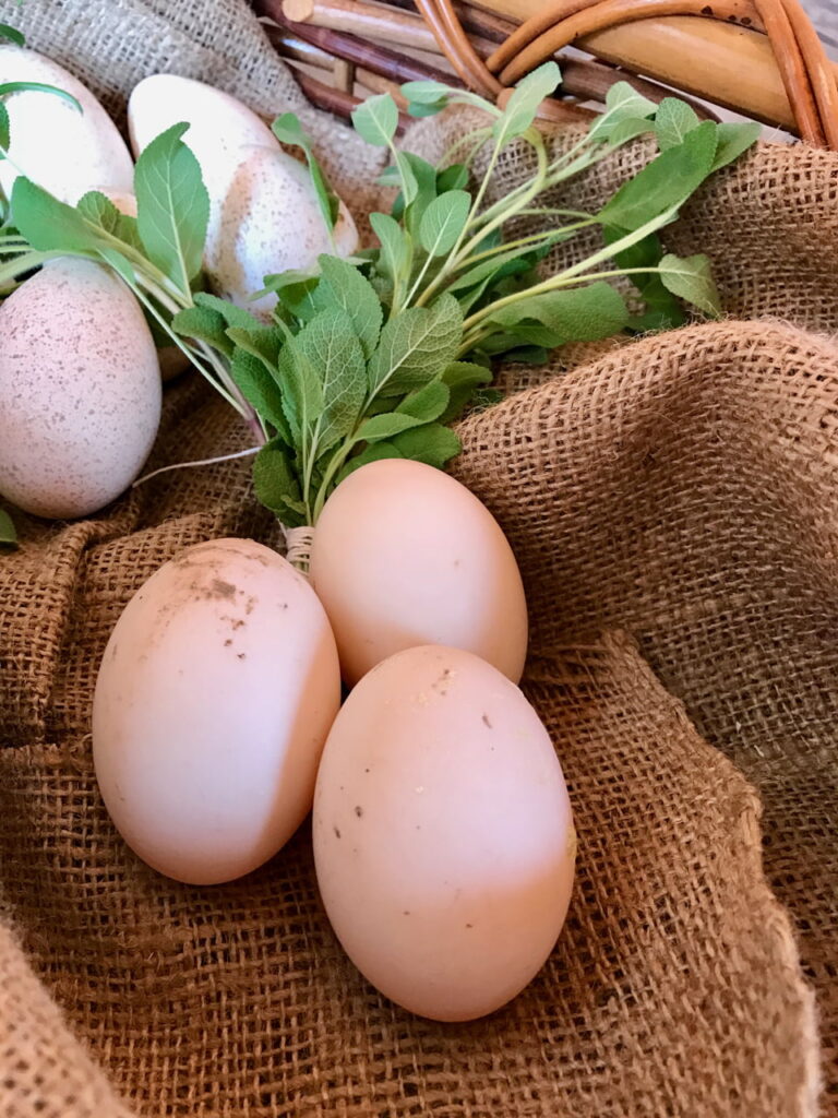 Duck eggs and turkey eggs.
