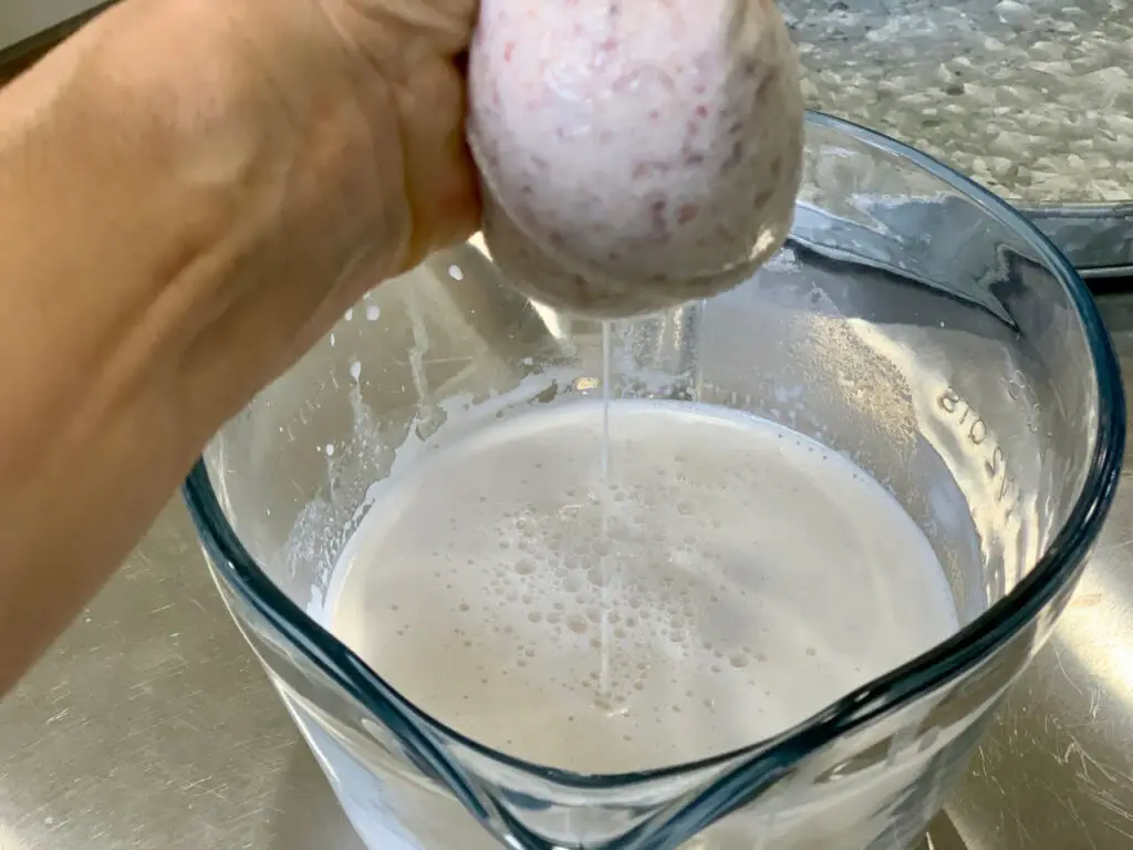Extracting Almond Milk