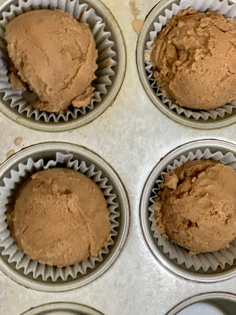 Frozen Chocolate Almond Milk Ice Cream Scoops