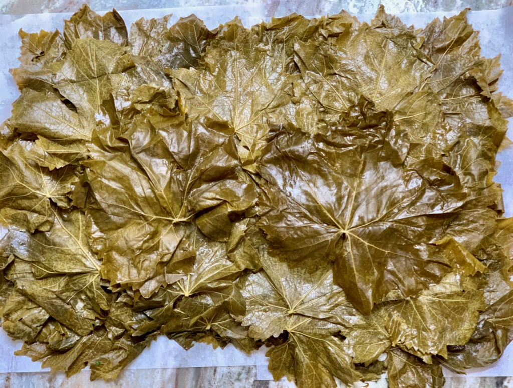 drain and lay out grape leaves