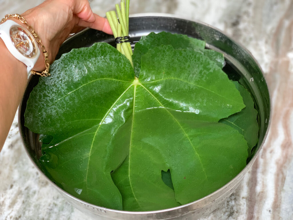 preparing fig leaves for cooking