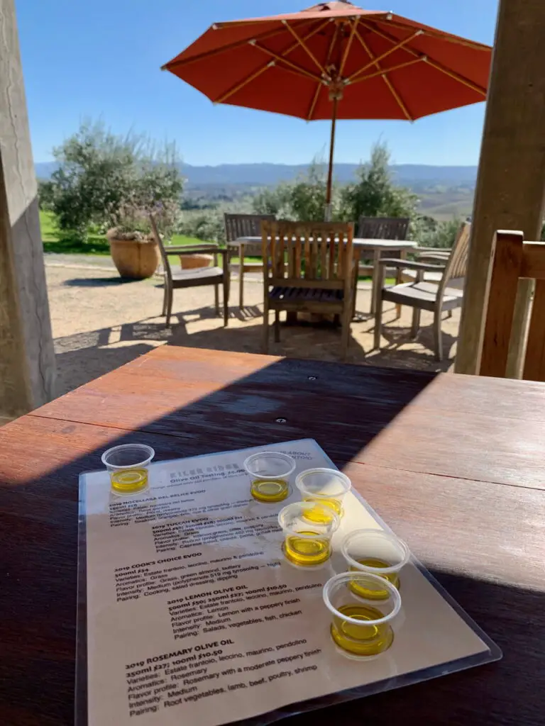 Olive Oil Tasting In Paso Robles California