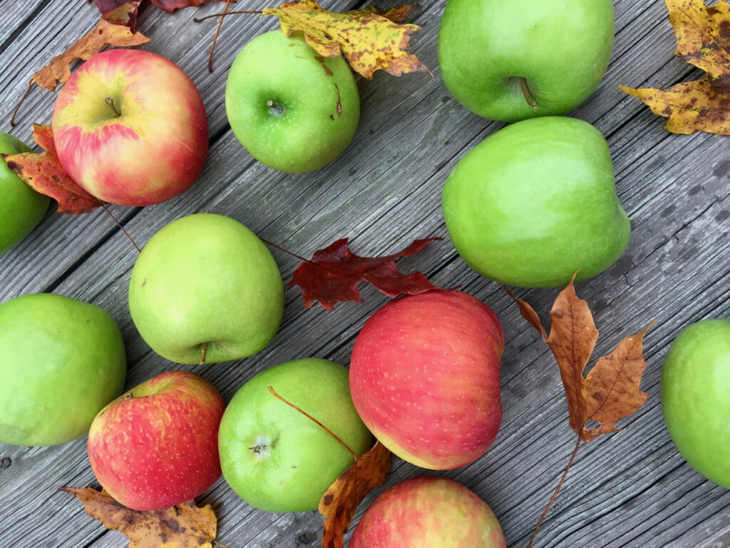 Autumn's Apples