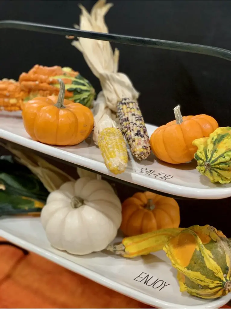 Autumn Pumpkins Come In All Sizes