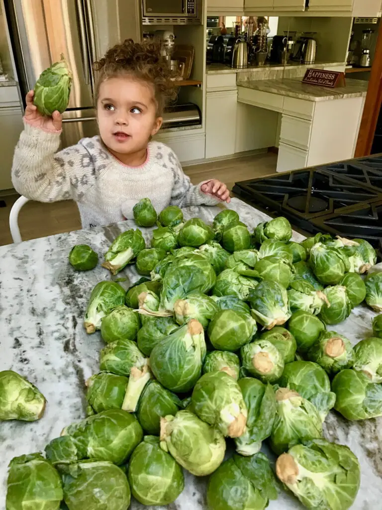Kids Love Veggies Especially Giant Brussels Sprouts!