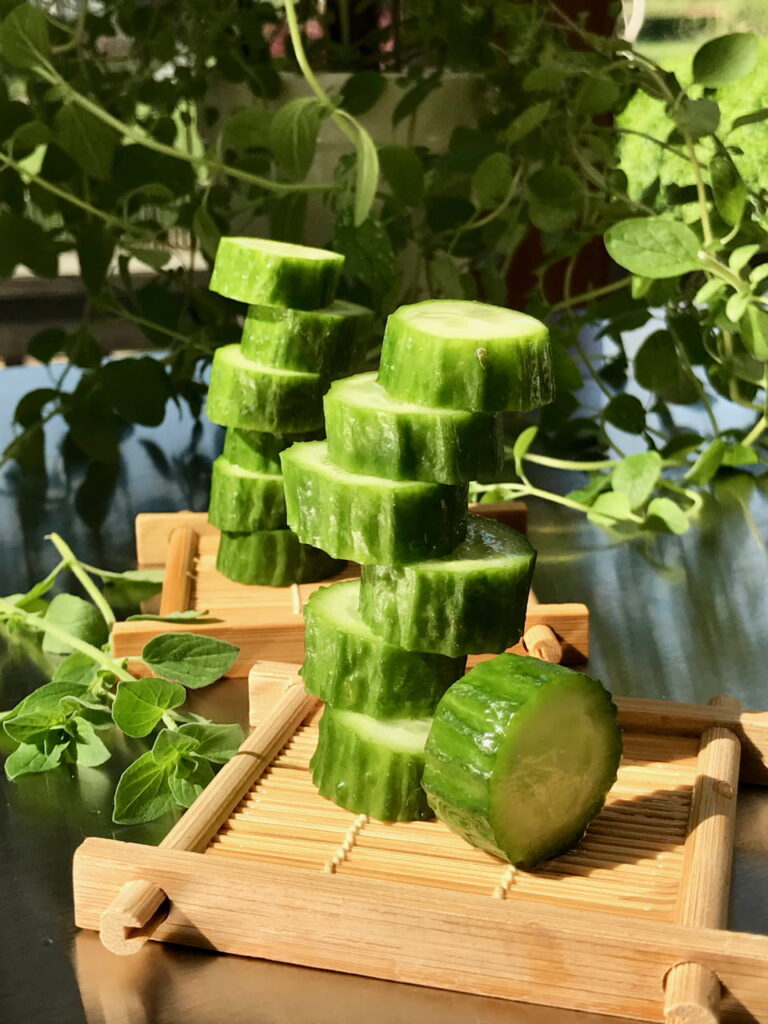 Homegrown Cucumber and Oregano