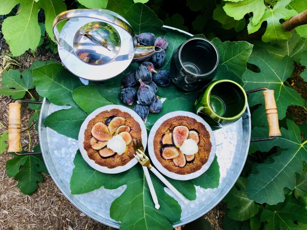 Fig and Walnut Rum Pie