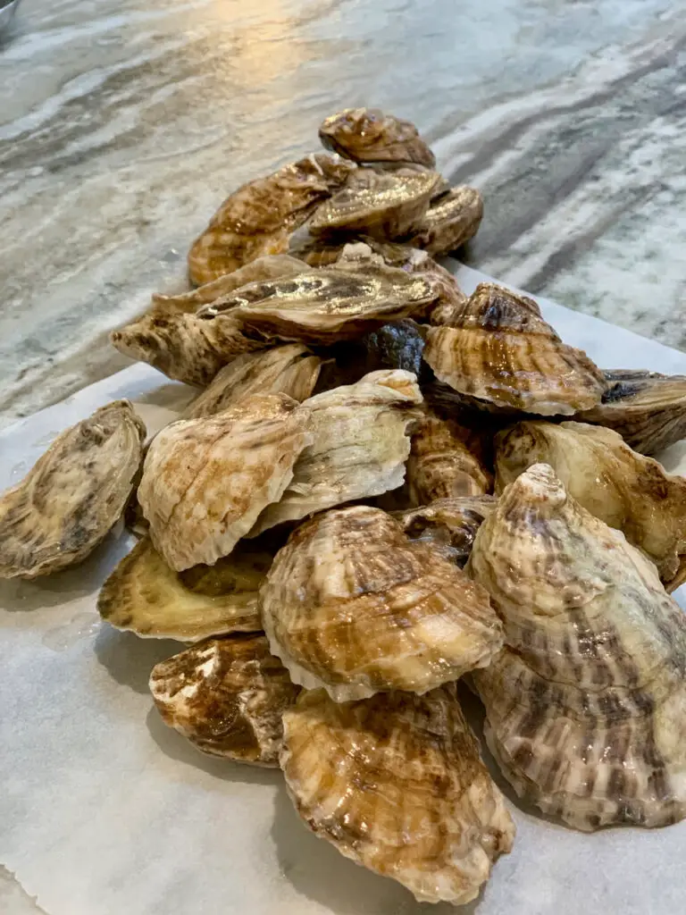 Maryland Oysters