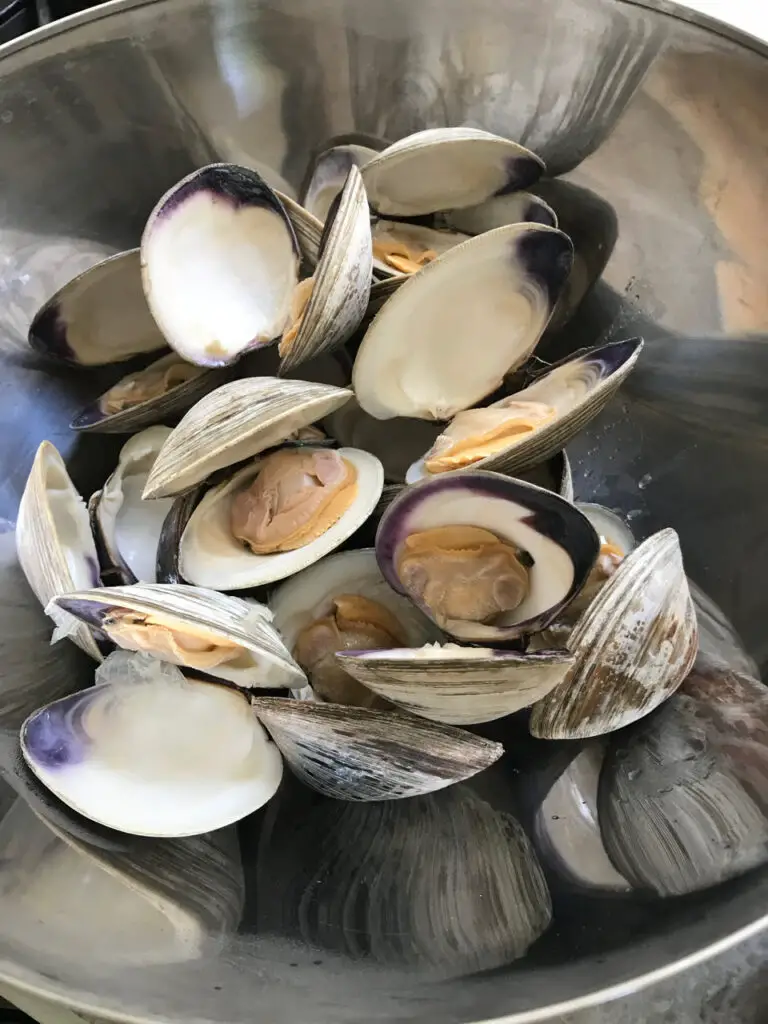 Clams Shells Make For A Delicious Shellfish Stock
