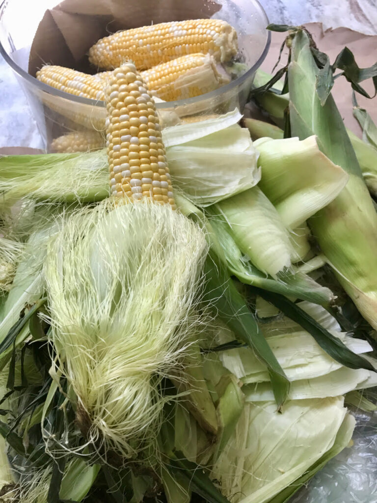 freshly shucked corn