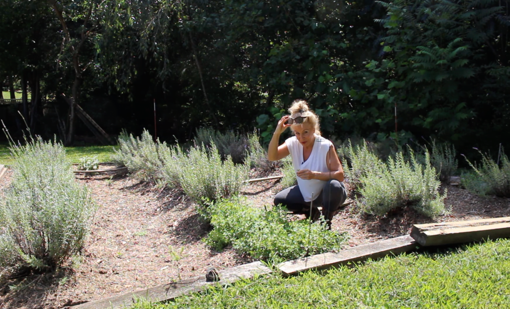 Garden To Table Lifestyle