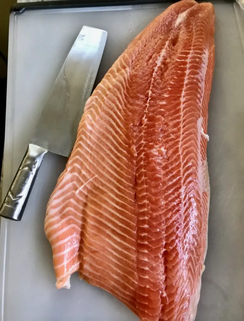 Beautiful Salmon