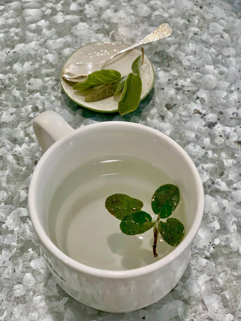 sage tea for the health of it