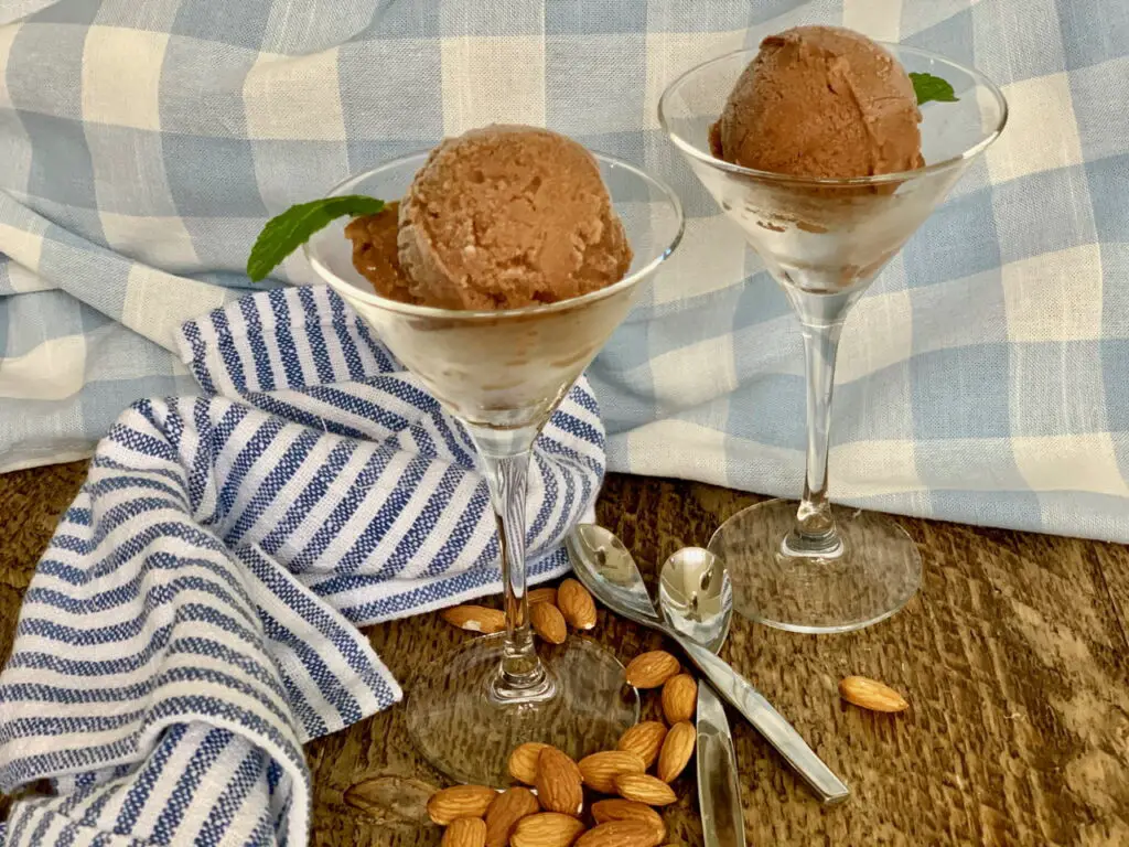 Chocolate Almond Milk Ice Cream