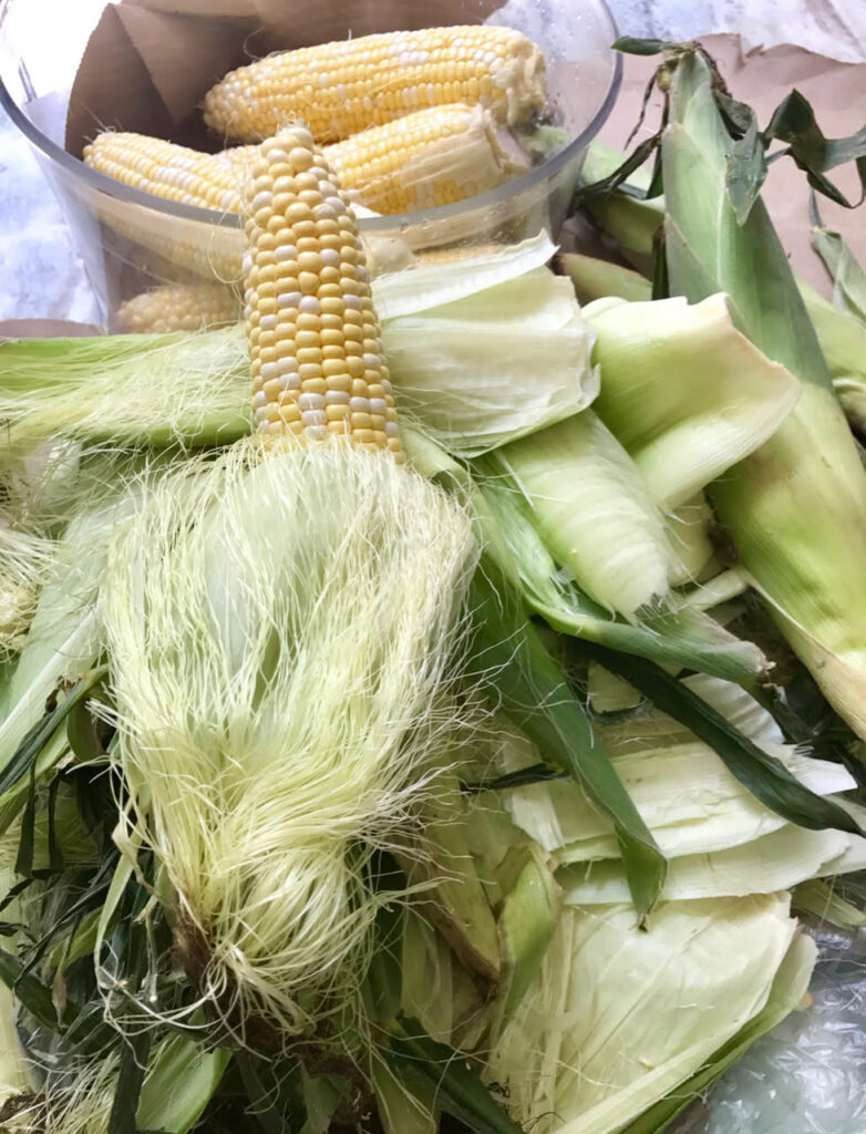 freshly harvested corn