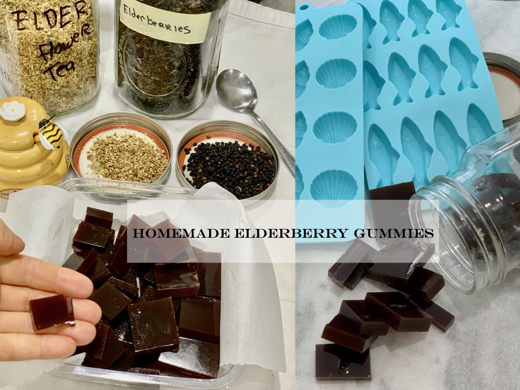 Homemade Elderberry and Honey Gummies
