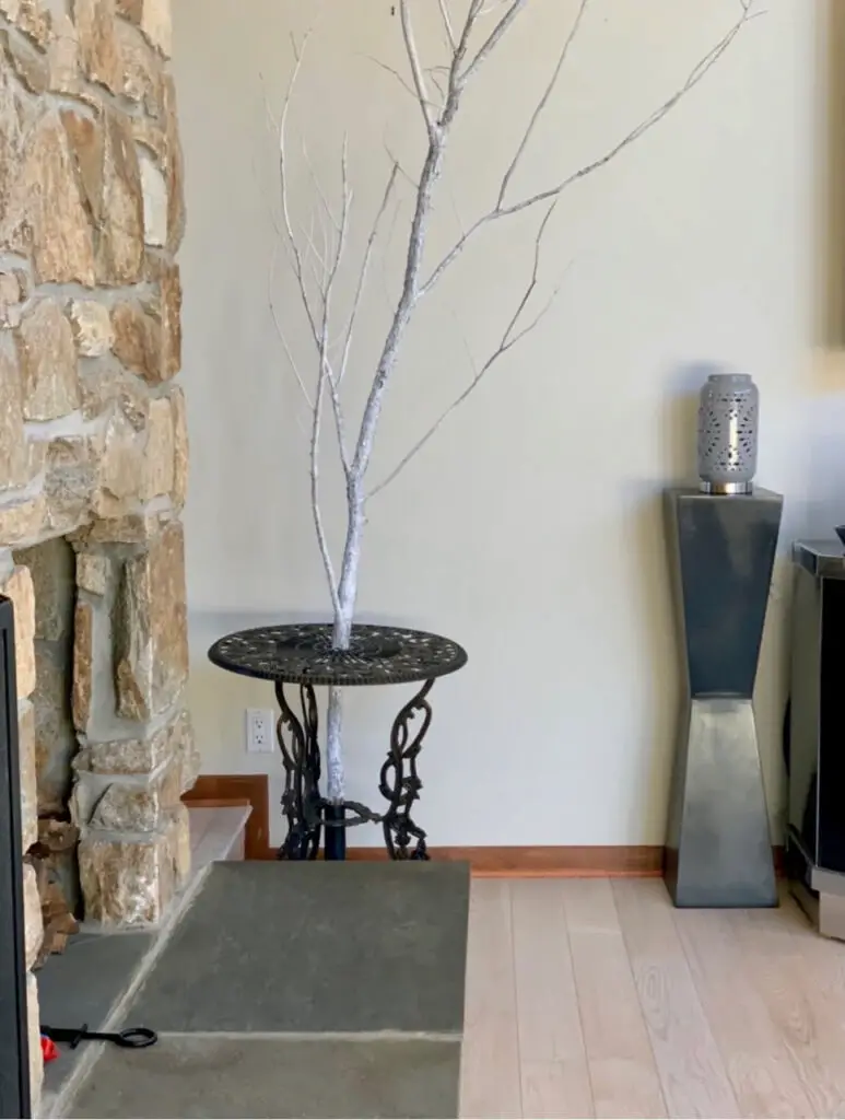 branch in a bistro table