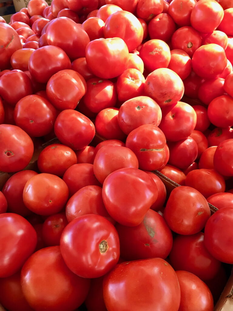 tomatoes