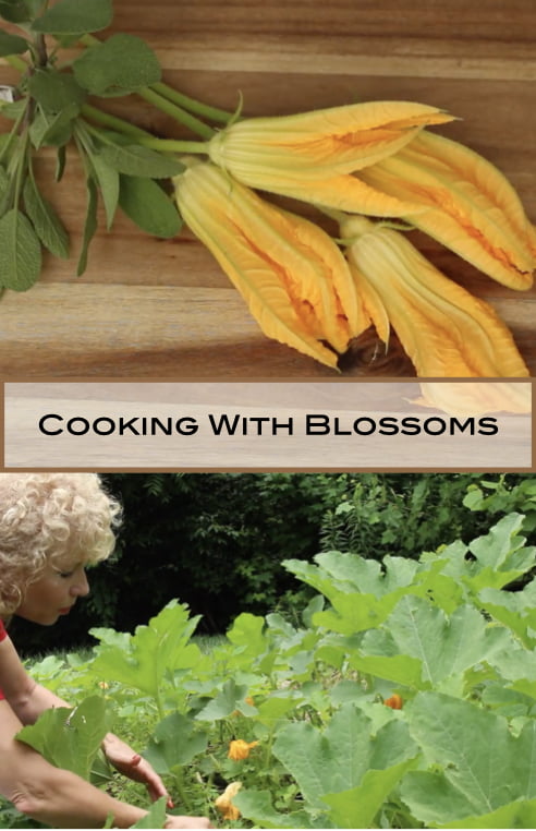 Cooking With Pumpkin Blossoms