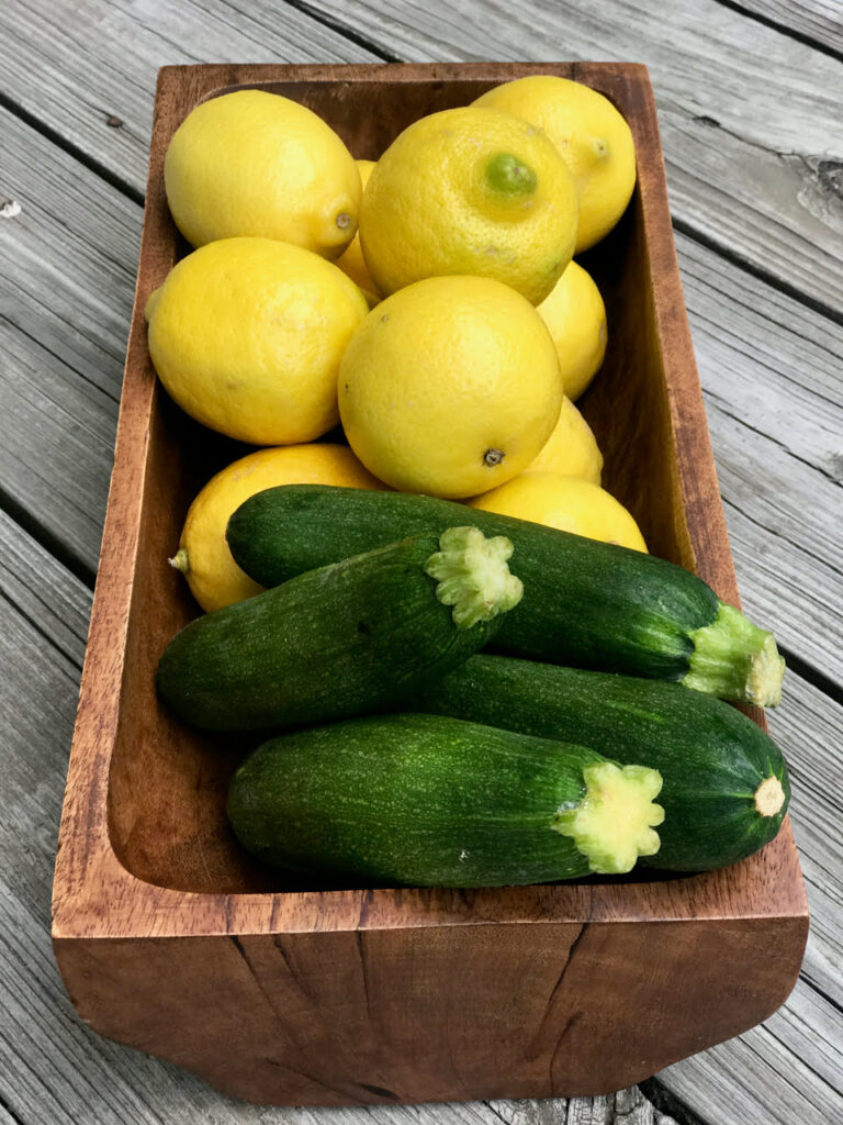 Summer Harvest Zucchini