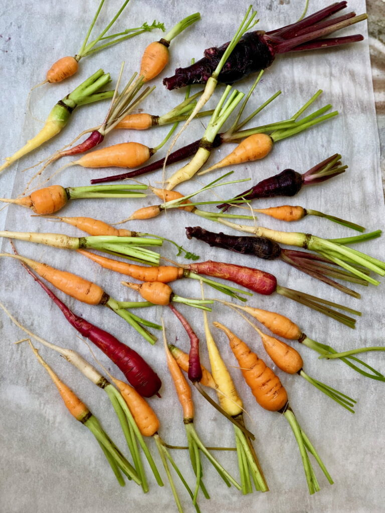Homegrown Carrots Are So Easy To Grow