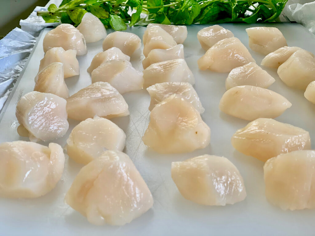 drying the scallops