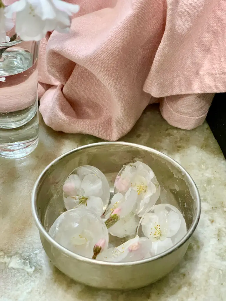 Blossom Ice cubes