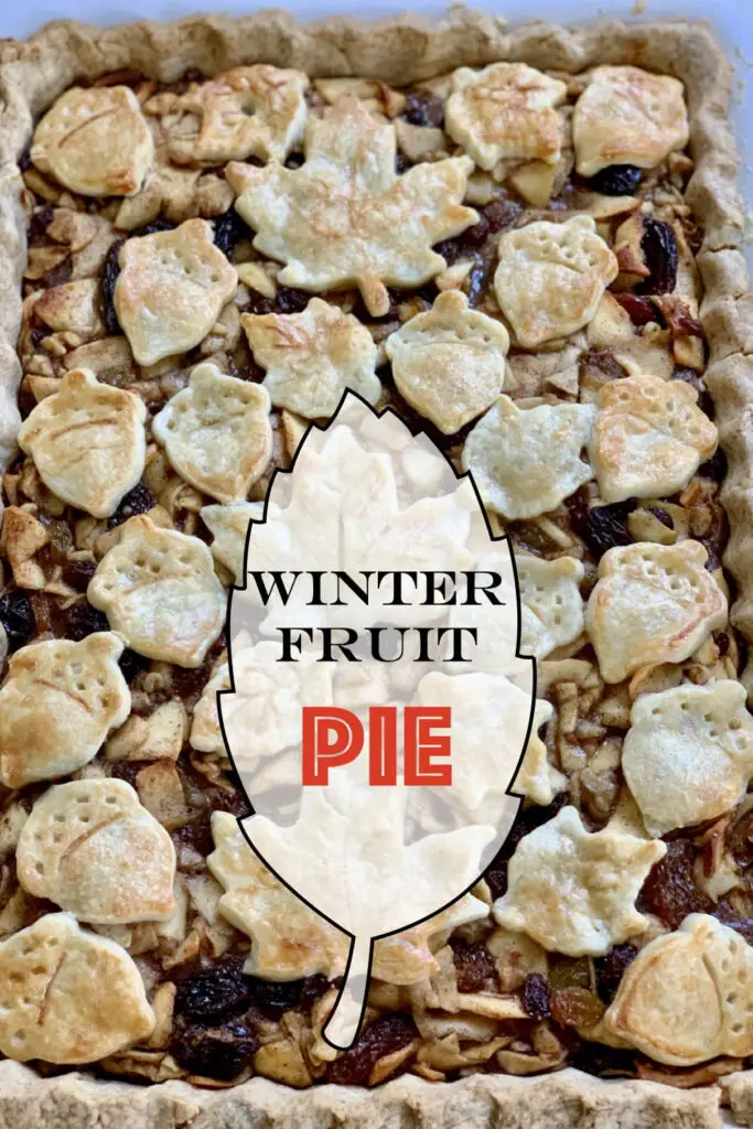 Dried Fruit Winter Fruit Pie