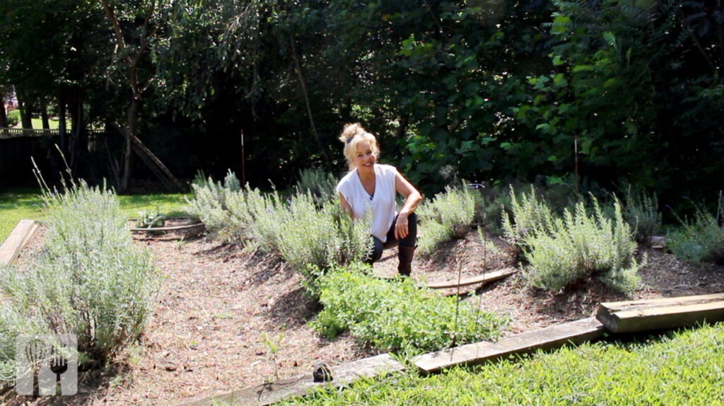 summertime gardening for healthier food