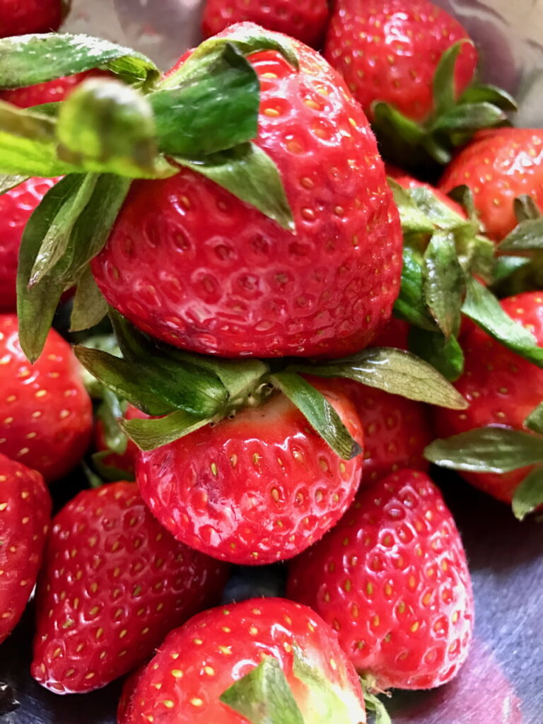 strawberry patch visit