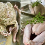 Turkey and Leftover Recipes