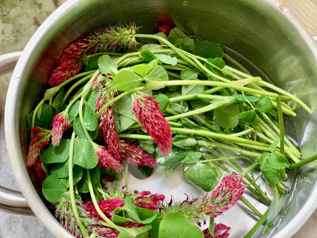 simmer herbs for tea as needed