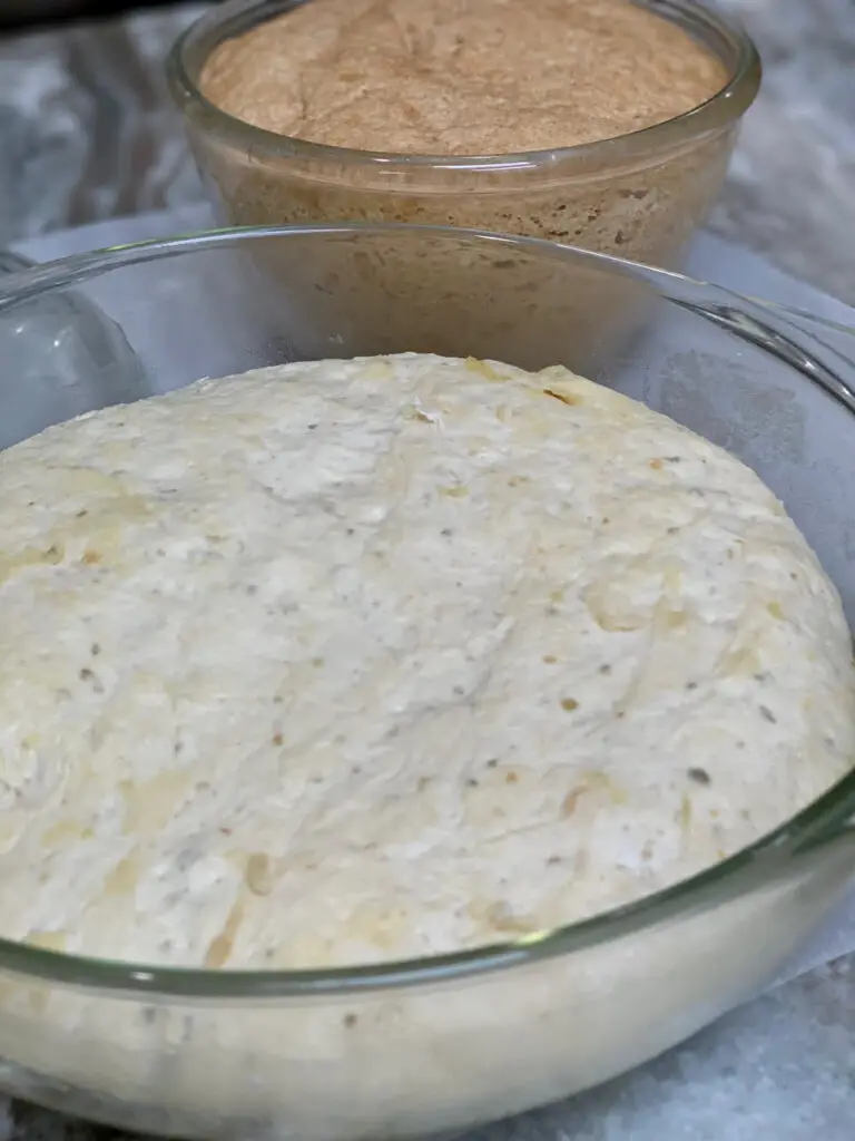 Traditional or Spelt dough