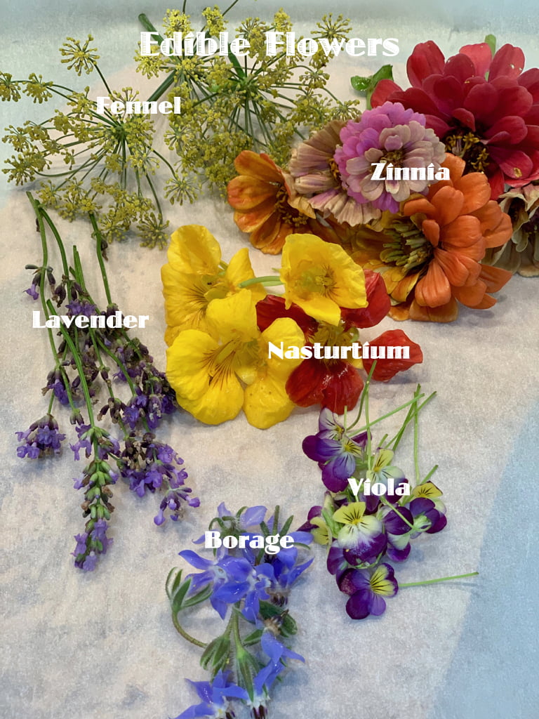 Edible flowers